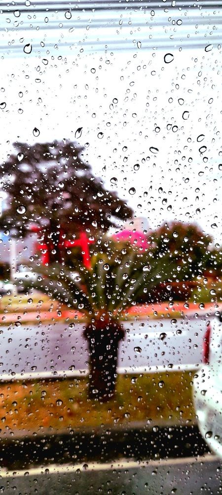 Photograph by Meire Costa