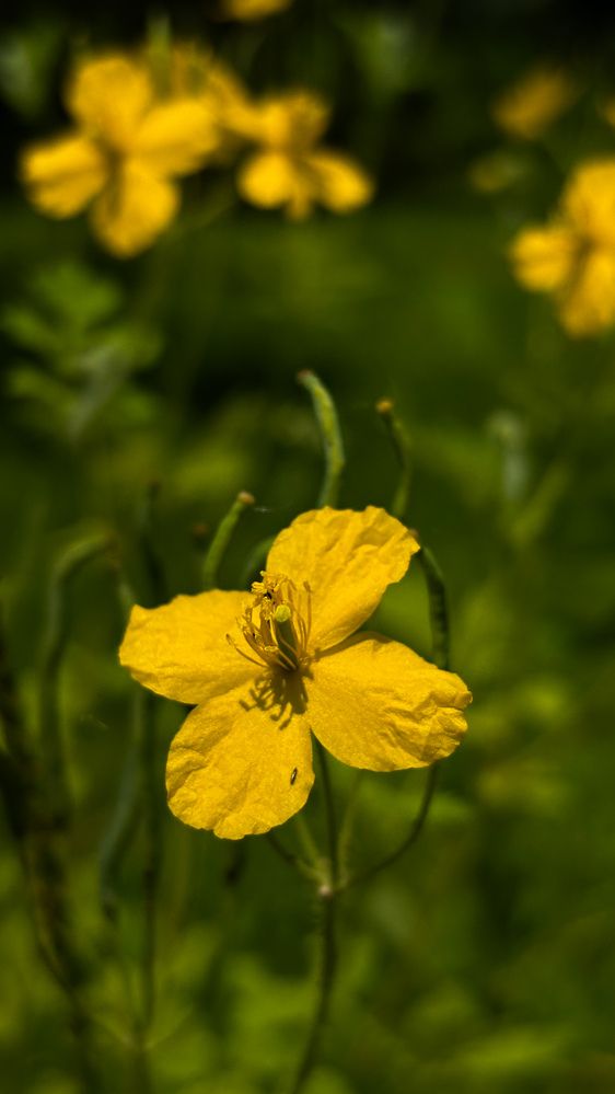Photograph by Юлия Куклина