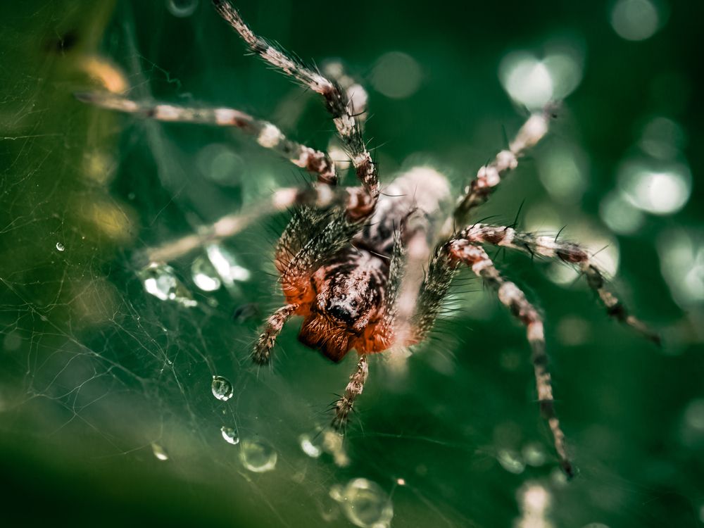 Фотография автора Uesan Aliace