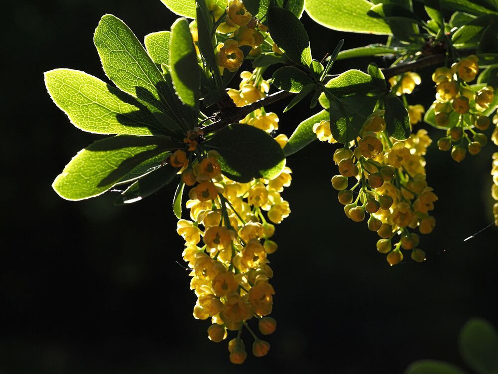 Photograph by Духанин Сергей