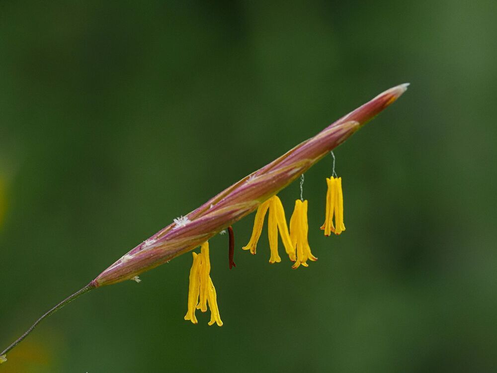 Photograph by Духанин Сергей