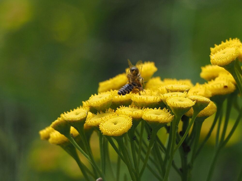 Photograph by Духанин Сергей