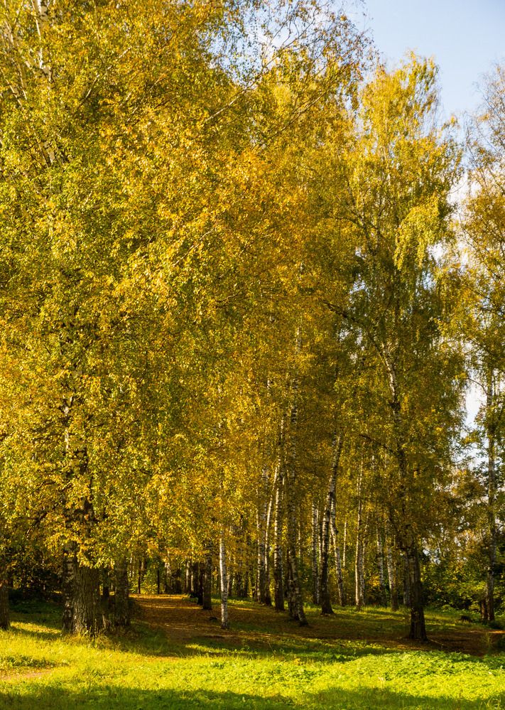 Photograph by Даниил Пузаков