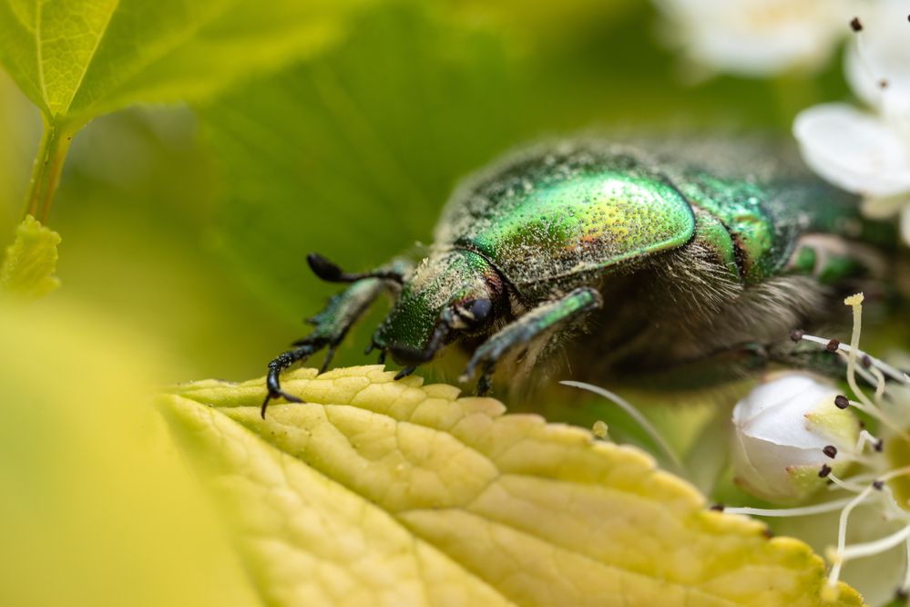 Photograph by Даниил Пузаков