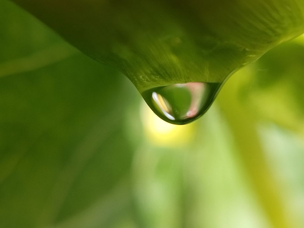 Photograph by Лилия