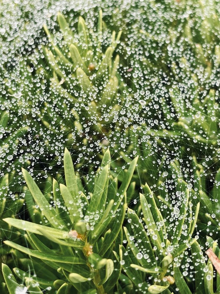 Фотография автора Olga Andriuc