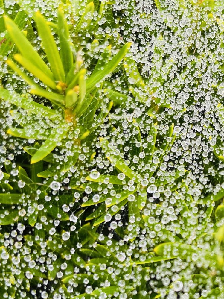 Фотография автора Olga Andriuc