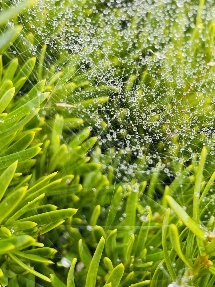 Фотография автора Olga Andriuc