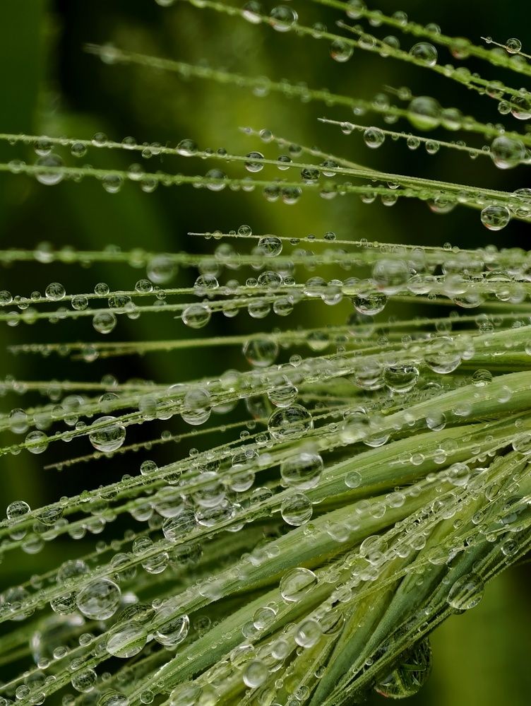 Фотография автора robot