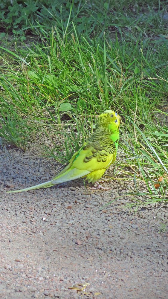 Photograph by Мигун Александра