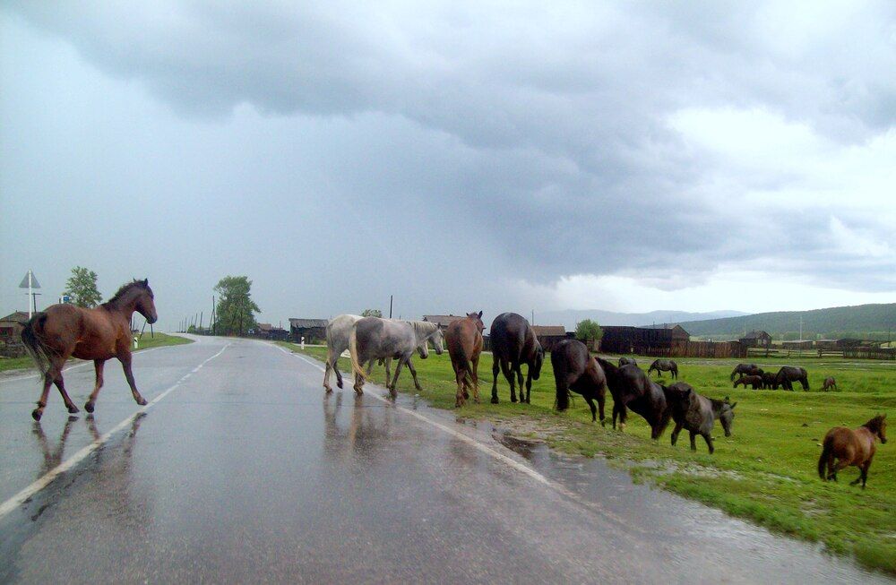 Photograph by Мигун Александра
