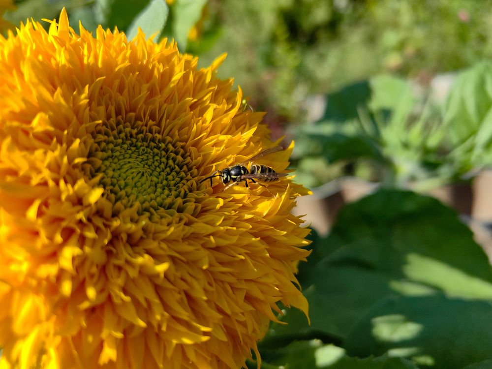 Photograph by Денис Ольгович