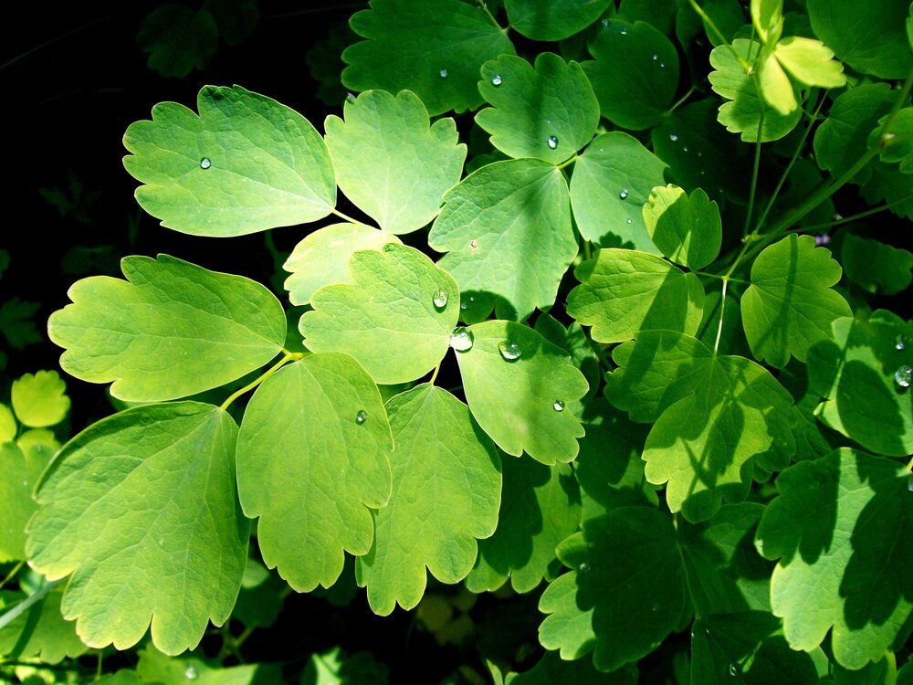 Photograph by Мигун Александра