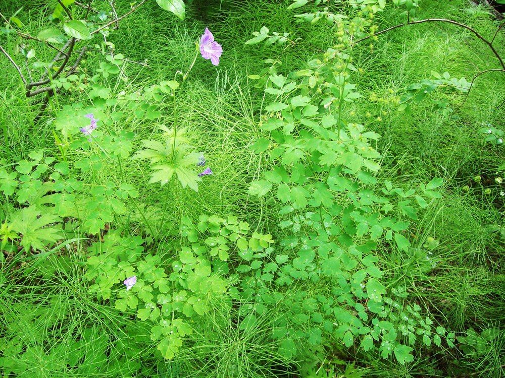 Photograph by Мигун Александра