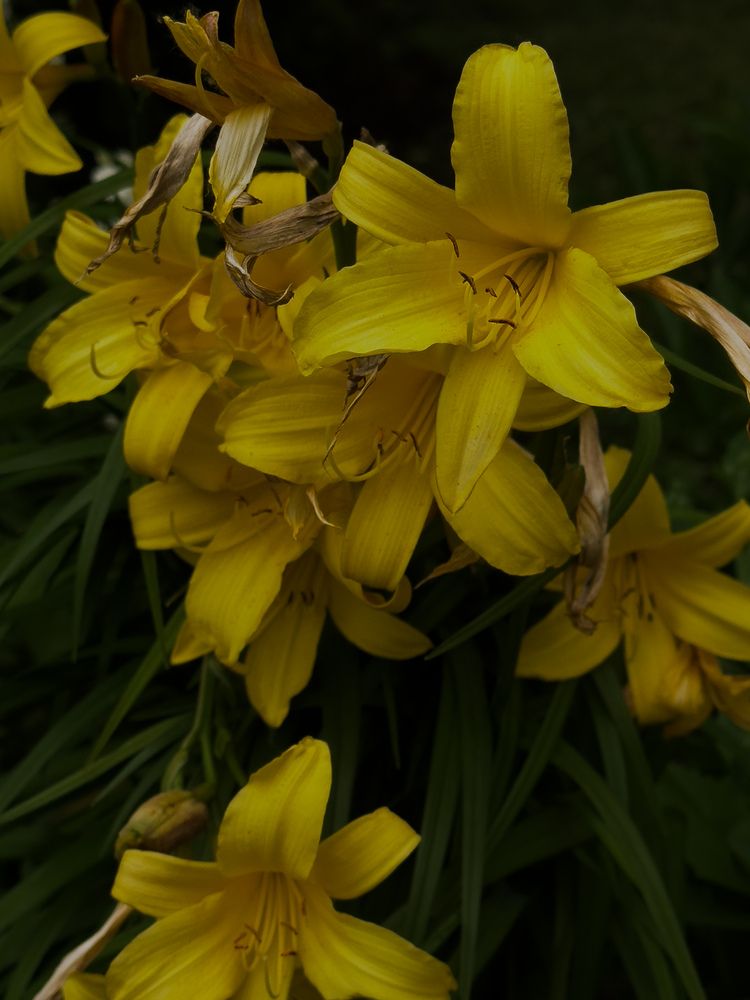 Photograph by Ася Жгенти