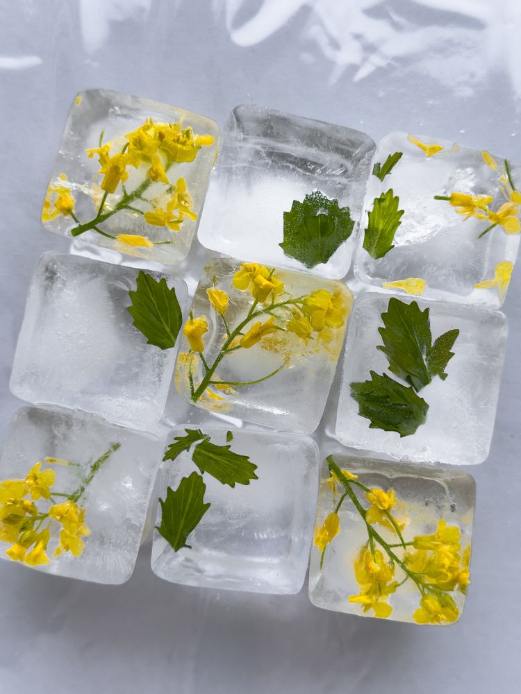 Цветочный лёд