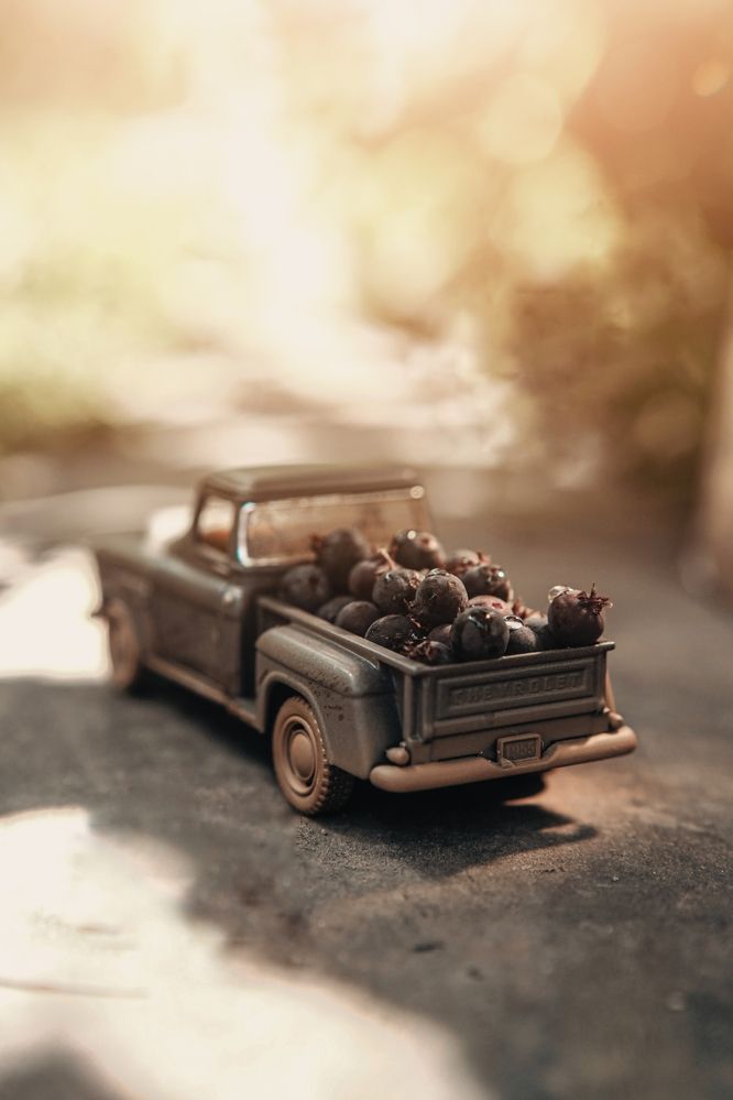 Фотография автора Татьяна Рогожа