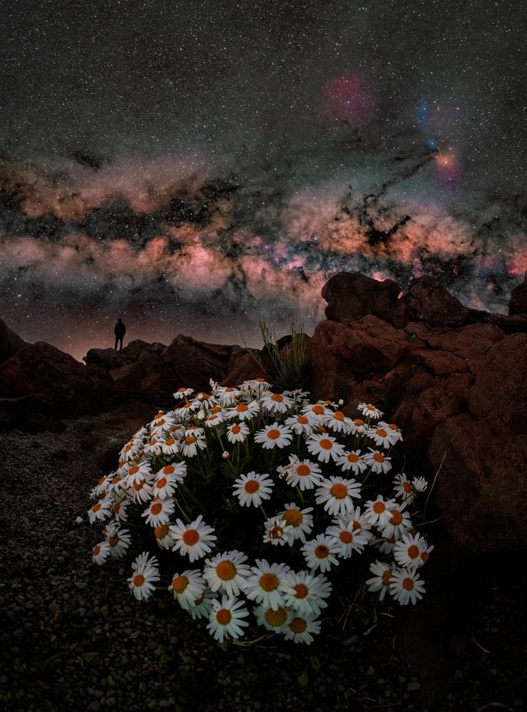 Photograph by Drew Korme