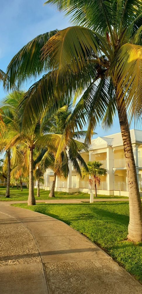 Фотография автора Asya