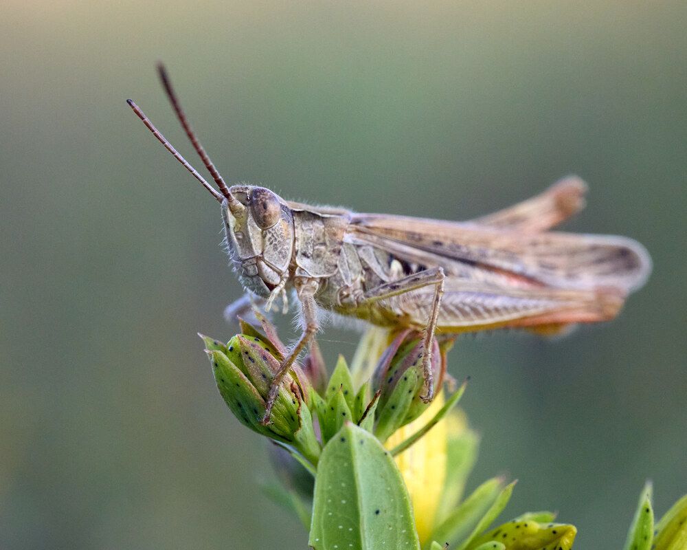 Photograph by Mikhail Khmelevskiy