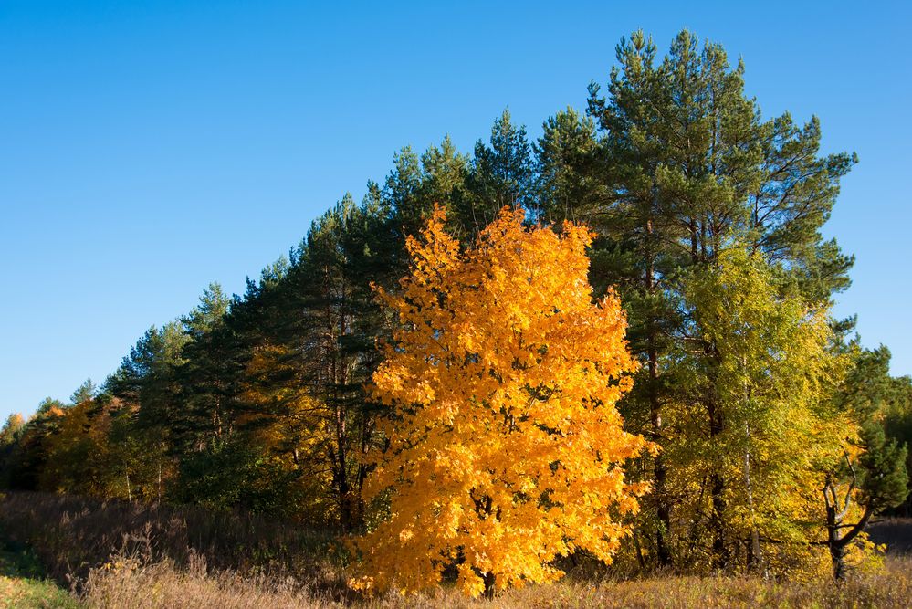 Photograph by Андрей Чуйков