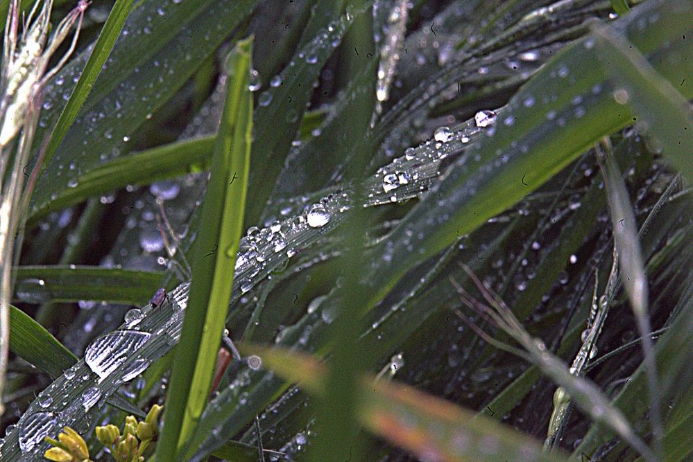 Photograph by Сергей Рапопорт