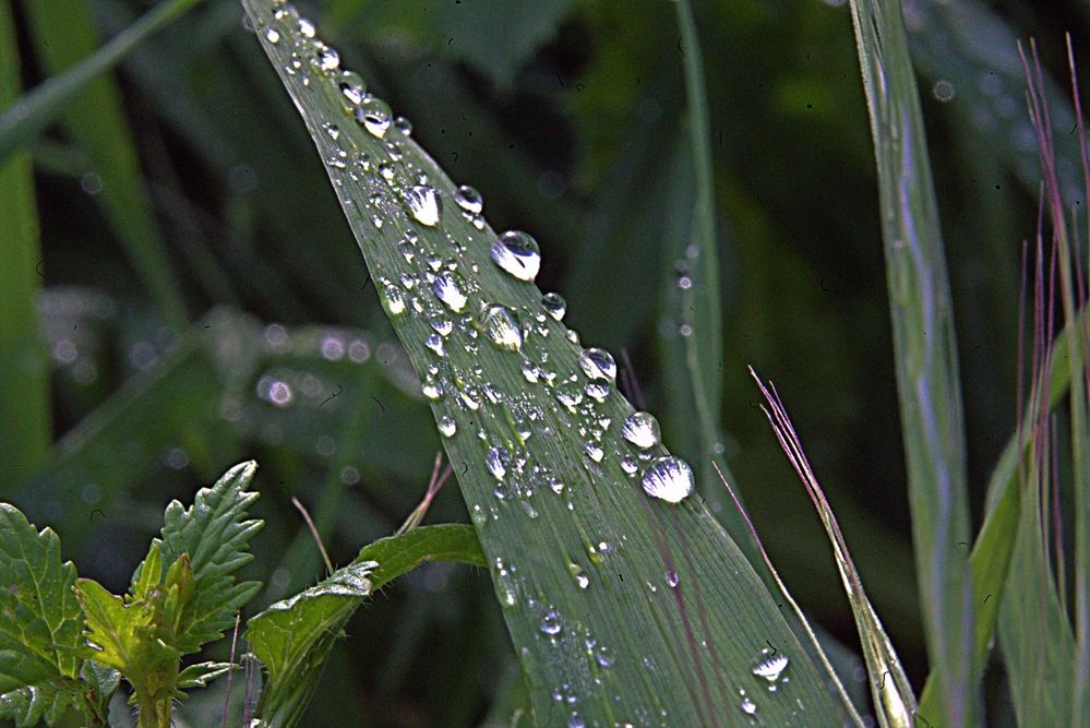 Photograph by Сергей Рапопорт