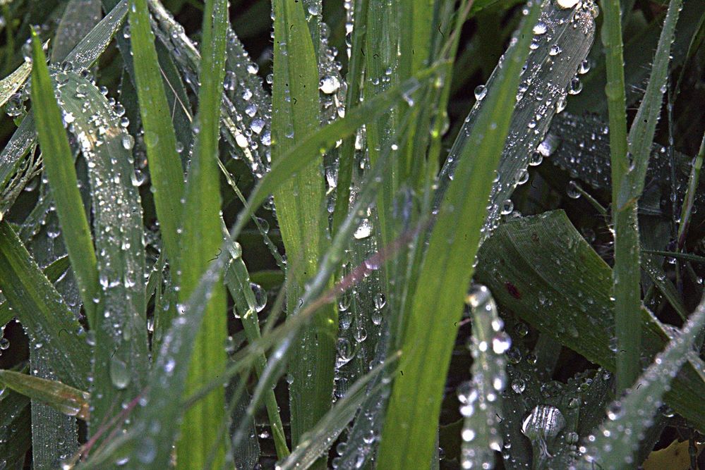 Photograph by Сергей Рапопорт