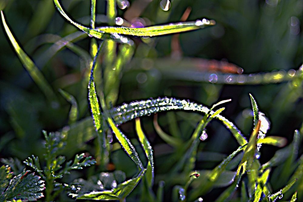 Photograph by Сергей Рапопорт