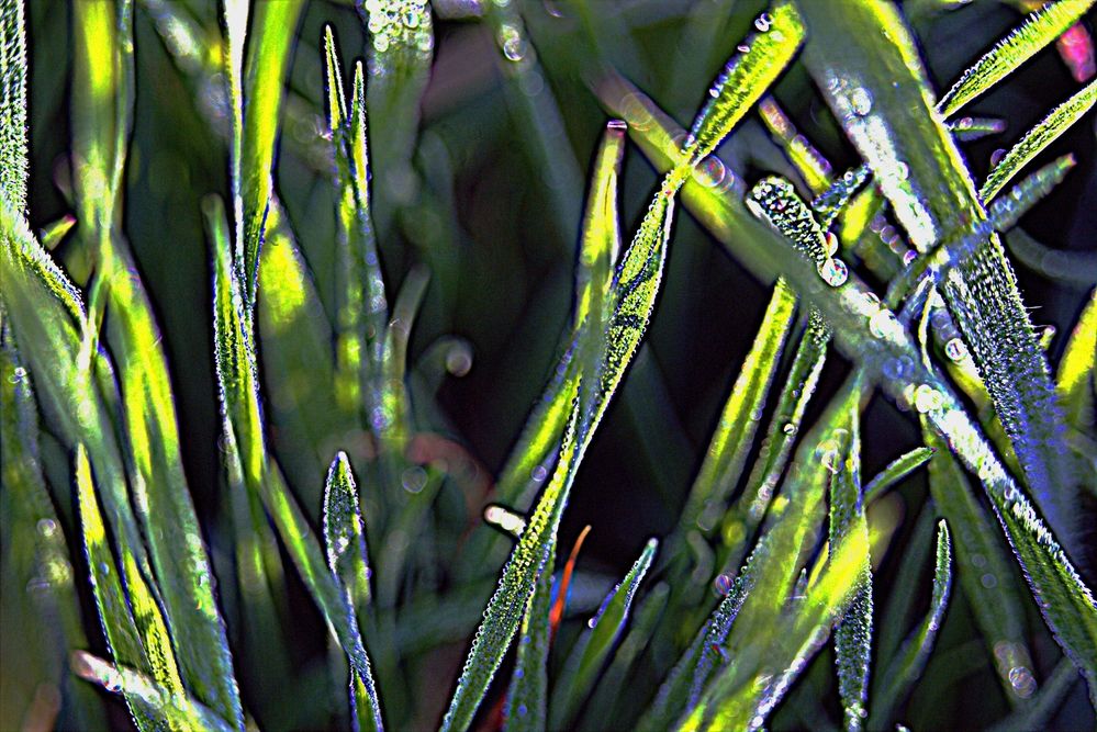 Photograph by Сергей Рапопорт