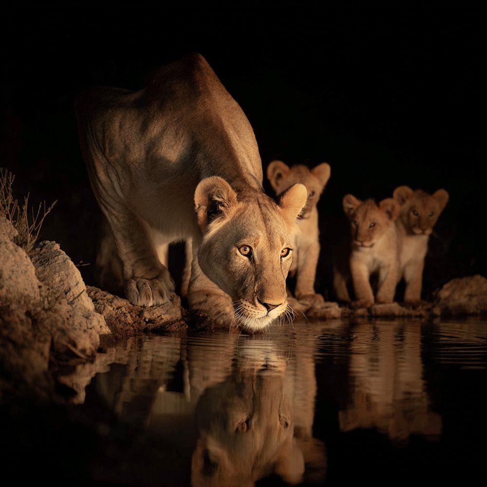 Photograph by Александр Перегудов