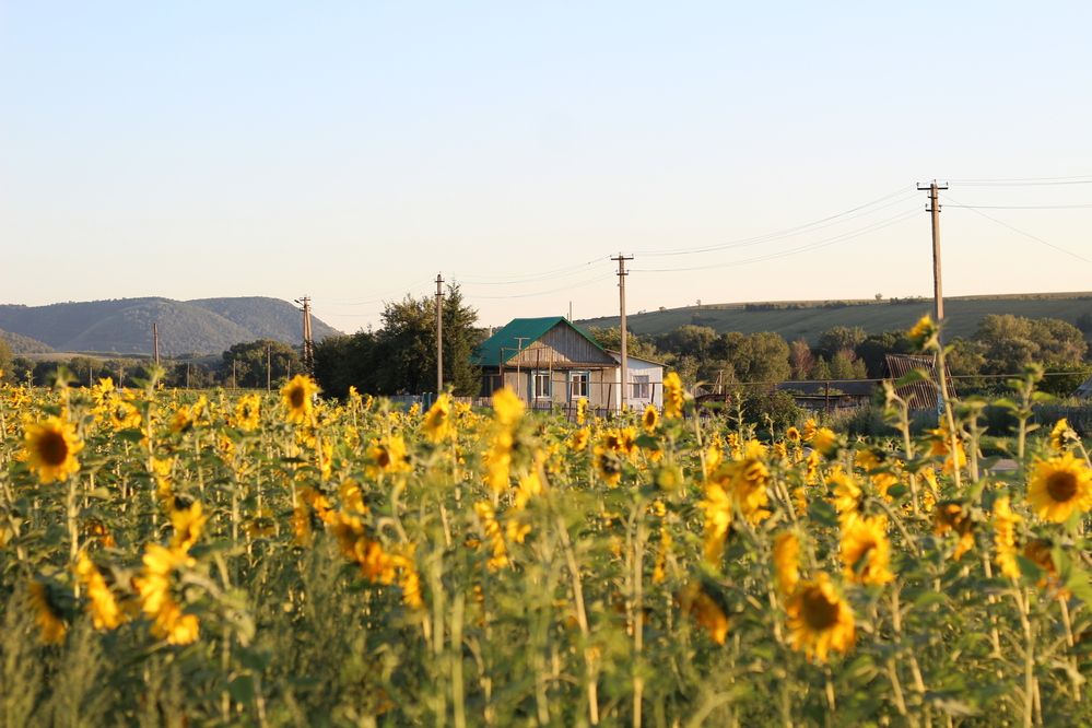 Photograph by Гульфира Душанбаева