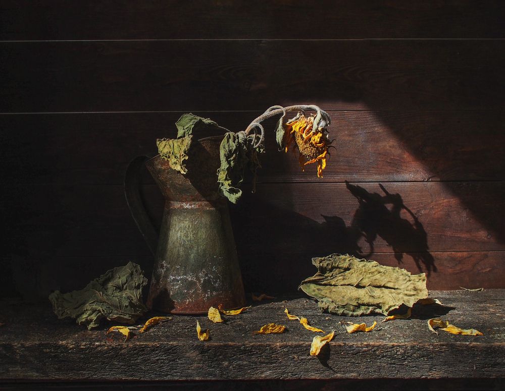 Фотография автора Svetlana Inyusheva