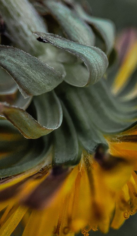 Фотография автора Анастасия Мамаева