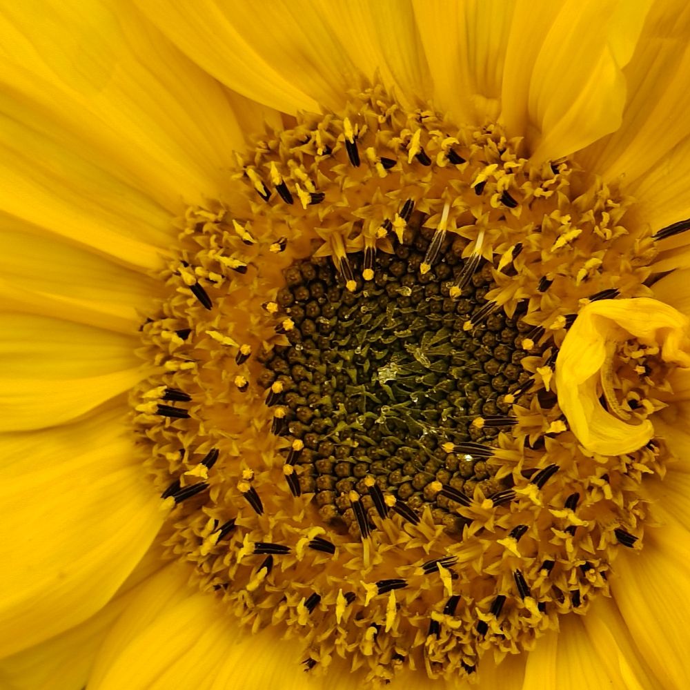 Photograph by Наталья Билай