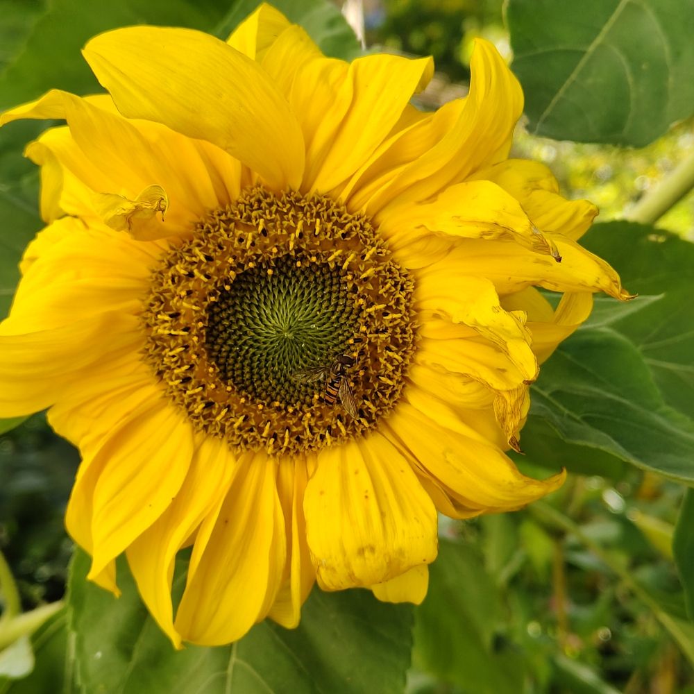 Photograph by Наталья Билай