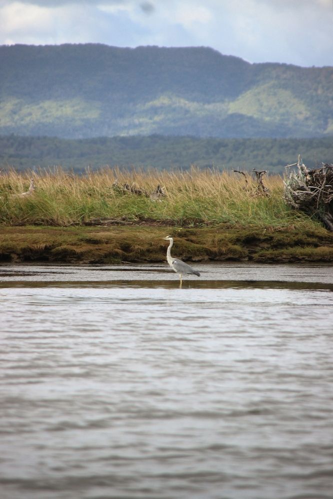 Photograph by Elena Edeleva Еделева