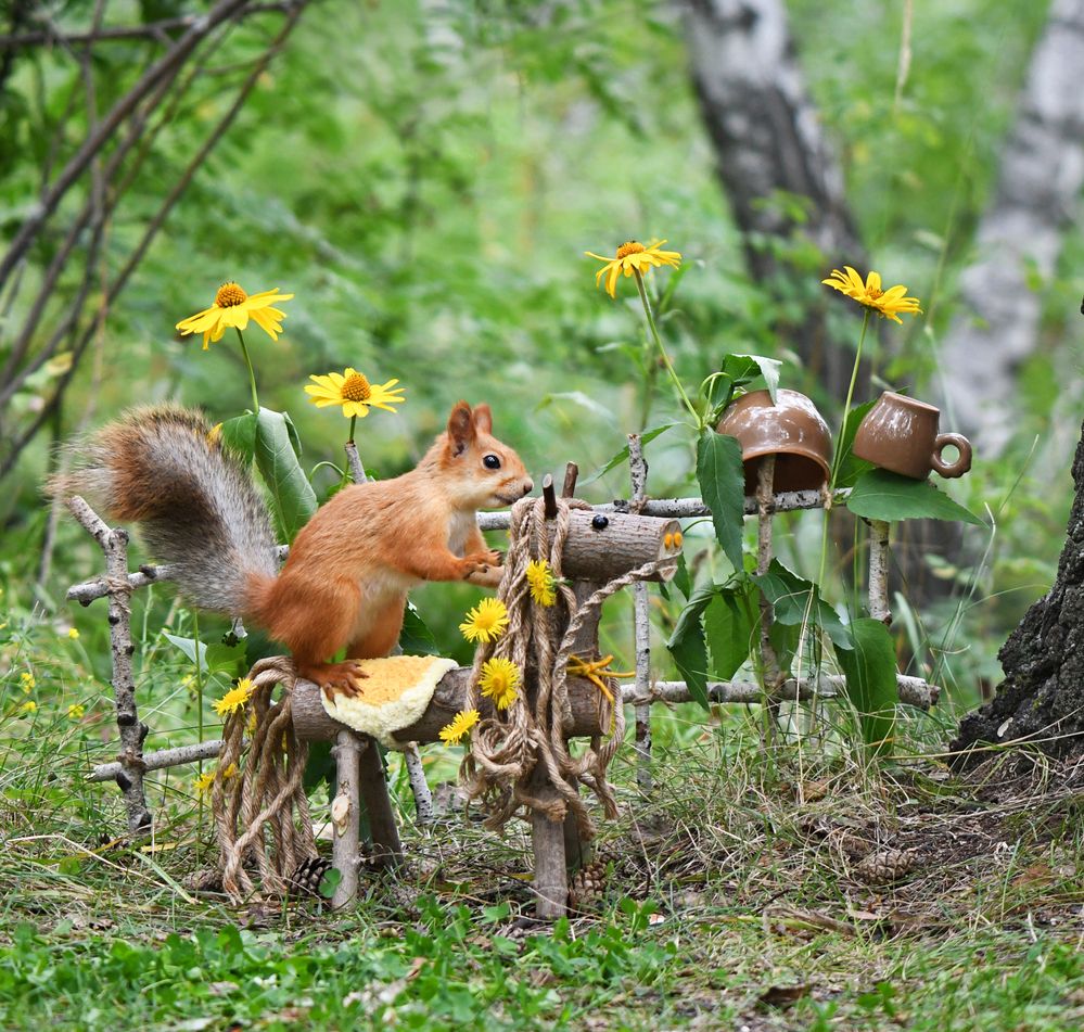 Поехали, дружок!