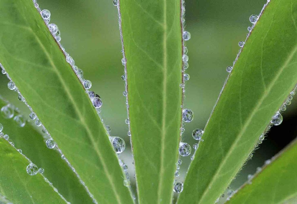 Фотография автора Marina Martorelli