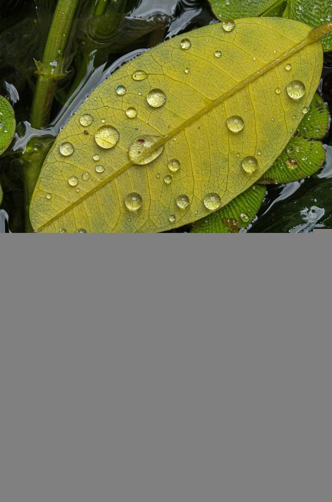 Фотография автора Marina Martorelli