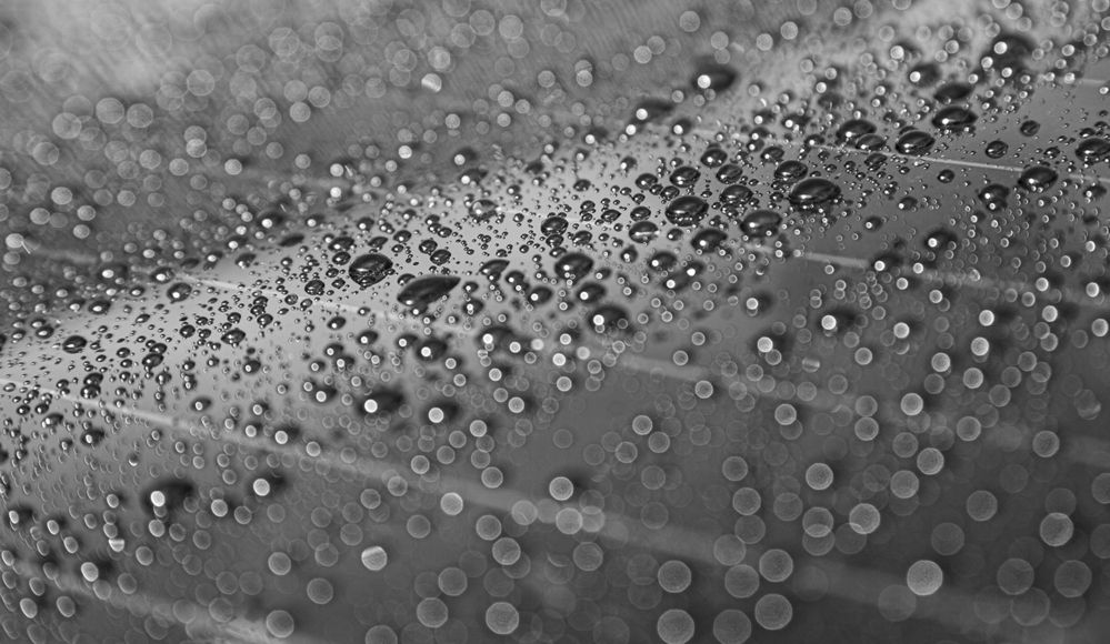 Фотография автора Marina Martorelli