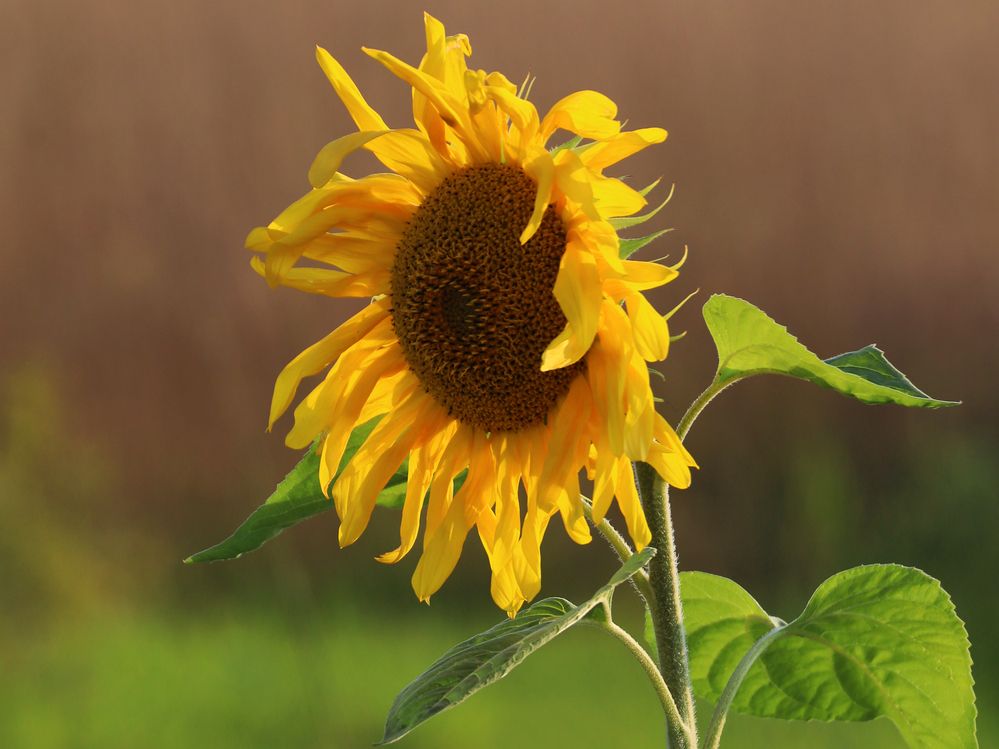 Photograph by Марианна Браун