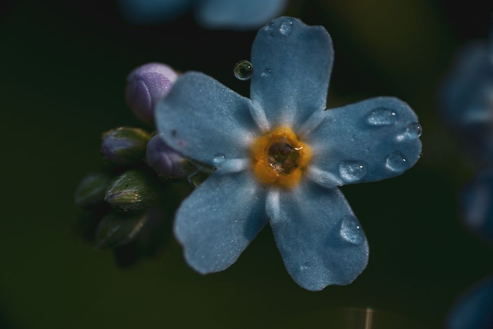 Фотография автора Войнов Дмитрий