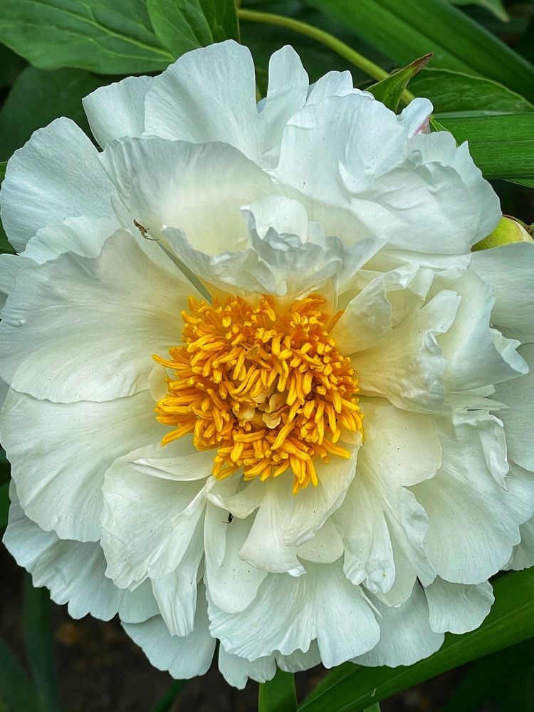 Фотография автора Nadezhda