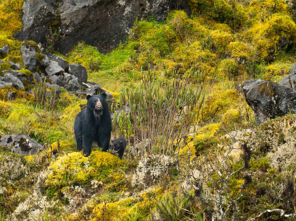 Photograph by Daniel Garzón Moreno