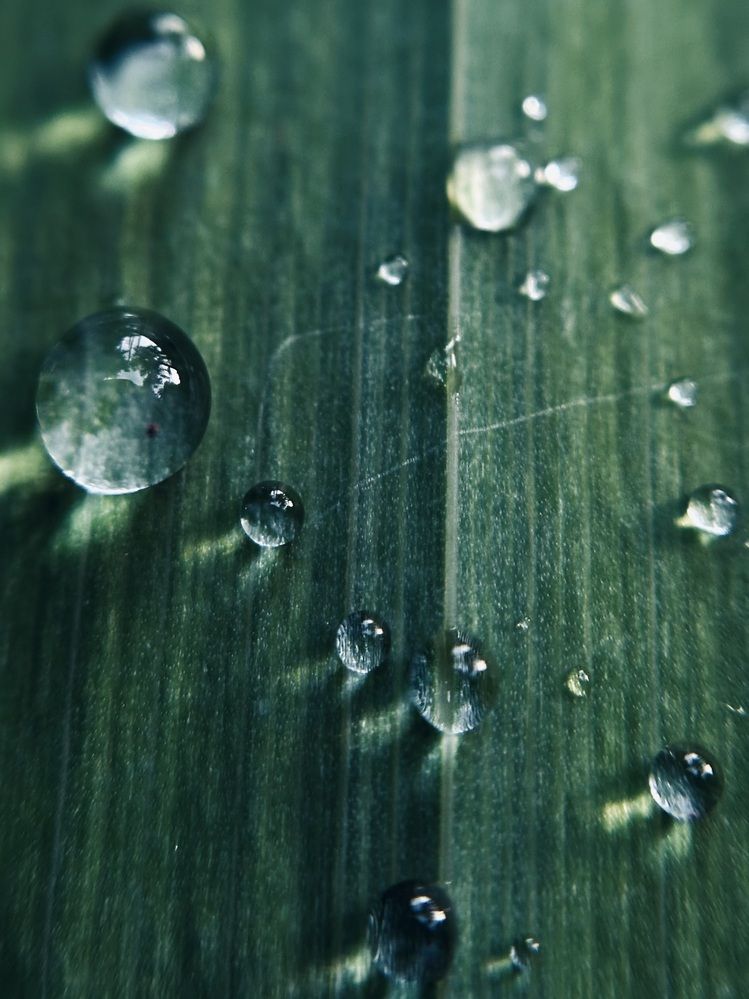 Photograph by Ксения Гулькова