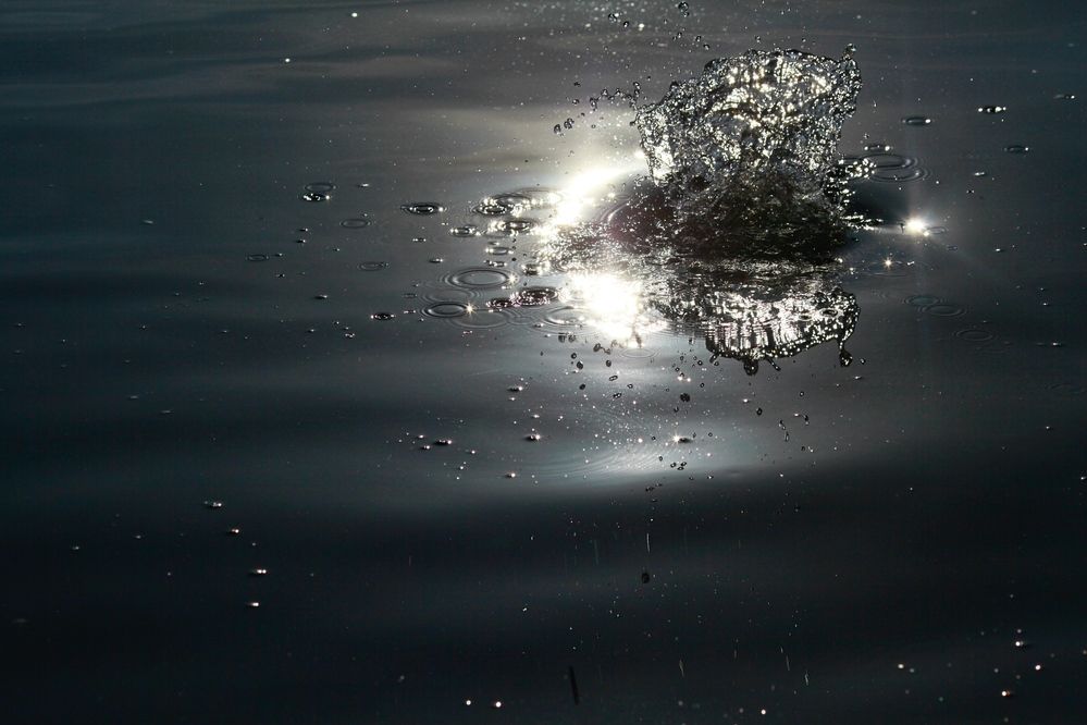 Фотография автора Nadezhda