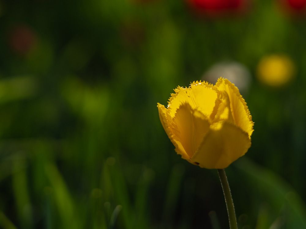 Photograph by Дмитрий Емельянов