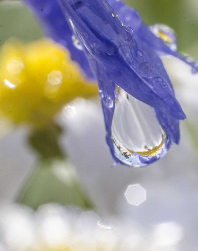 Фотография автора Александр Высотских