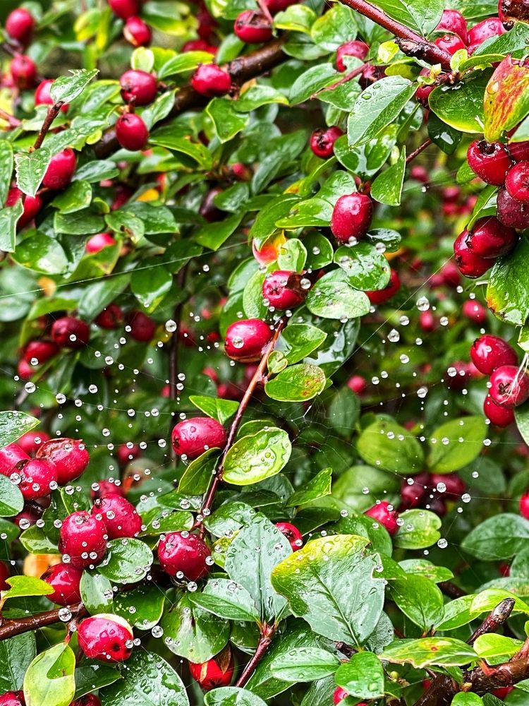 Фотография автора Nadezhda